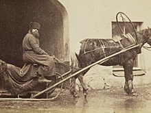 Как изменились русские за последние 100 лет