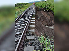 На Сахалине человек  выжил после наезда поезда