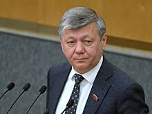 В Госдуме высказались о сроках подписания мирного договора по Украине