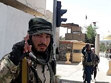 Россия установила рабочий контакт с «Талибаном»