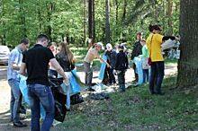 Вместе веселей. Ярославцы объединяются в борьбе за чистоту лесов и парков