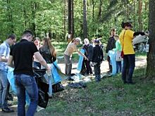 Вместе веселей. Ярославцы объединяются в борьбе за чистоту лесов и парков
