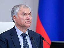 Экс-глава Гагаузии призвала проверить финансирование правящей партии Молдавии