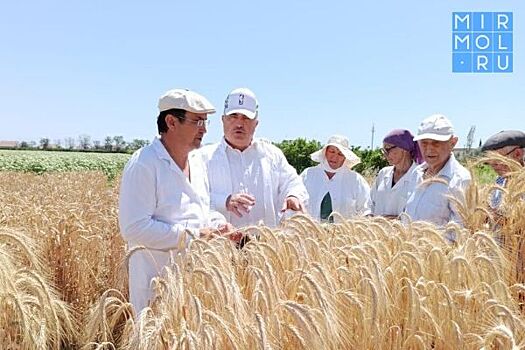 В Дагестане намерены создать Школу агронома