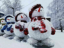 В Тульской области госучреждениям предложили отказаться от новогодних подарков