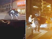 Страуса, бегающего по дороге, насильно усадили в багажник седана в Китае