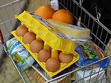 Потребительскую корзину россиян «заморозят» на три года