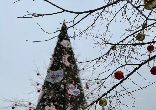 В Тольятти на остановках 29 декабря Дед Мороз и Снегурочка будут развлекать прохожих
