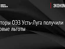 Инвесторы ОЭЗ Усть-Луга получили налоговые льготы