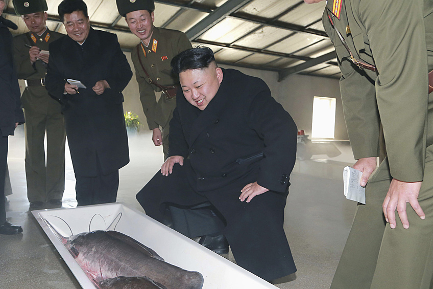 Ким Чен Ын во время посещения рыбной фермы, фотография опубликована в декабре 2014 года