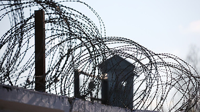 Жительницу ЛНР осудили за укрывательство военнослужащих ВСУ