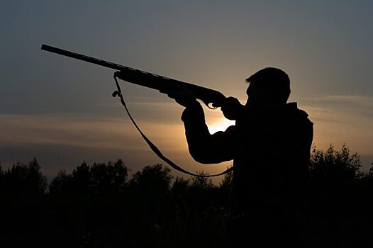 Главного охотоведа Омской области застрелили на охоте
