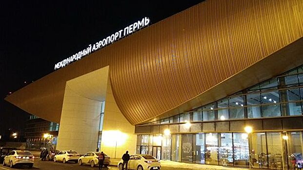 В пермском аэропорту задержали рейс из-за птицы в двигателе самолета