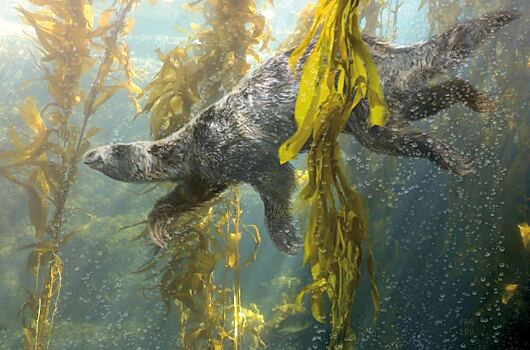 Легенды древности: Ленивец размером со слона