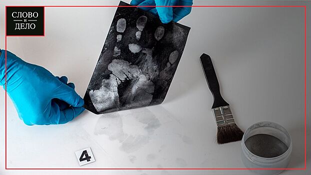 Названа роль отпечатков пальцев в современной криминологии