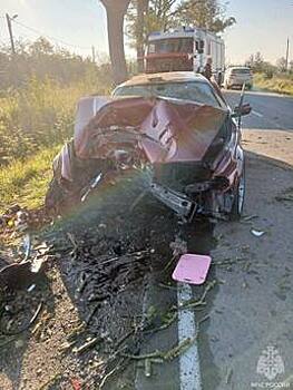 «Очнулся и спросил, жива ли Катя»: что известно о состоянии парня и девушки, разбившихся на BMW в Голубево