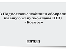 В Подмосковье избили и обокрали бывшую жену экс-главы НПО «Космос»