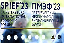 Число проверок бизнеса в России сократилось в 2,6 раза