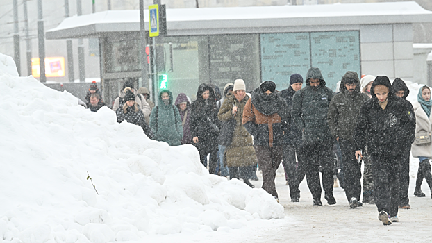 В Москве сугробы вырастут до полуметра к 28 января