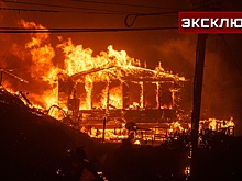 Эколог сравнила вред от пожаров в Калифорнии и выброса метана в Антарктиде