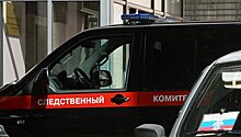 СК возбудил дело против ростовского депутата после инцидента с пистолетом