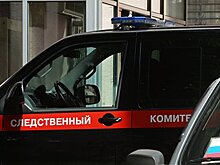 СК проверяет версию убийства гендиректора московского океанариума из-за бизнеса