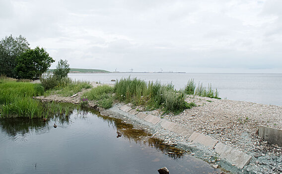 К берегам Эстонии прибило большую партию неизвестного вещества