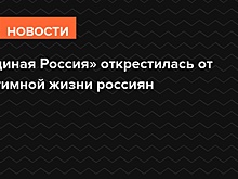 «Единая Россия» исключила вмешательство в интимную жизнь россиян