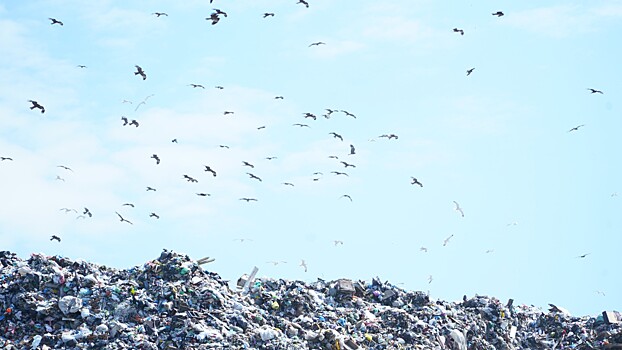 Мусор-кочевник: в Искитиме открыли полигон ТКО, но могут закрыть снова