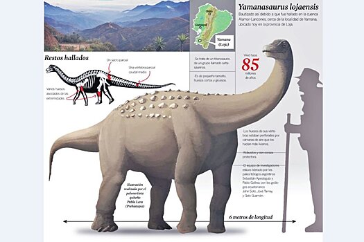 Новый вид титанозавра обнаружен в Эквадоре