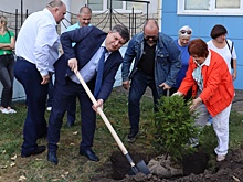 В Нововоронеже прошли экологические акции