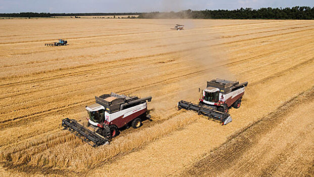 Алтайские аграрии намолотили четыре миллиона тонн зерна