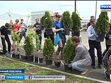 В Нижнем Новгороде госпитализировали трех человек, пострадавших от сильного ветра