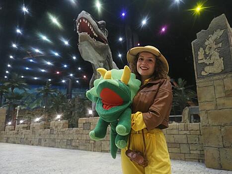 Инвестиции продолжаются