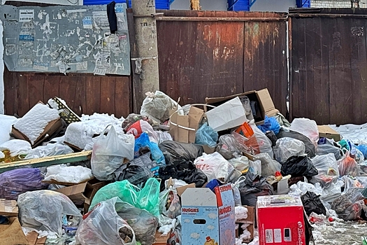 Челябинская область попала в число регионов с ростом жалоб на вывоз отходов