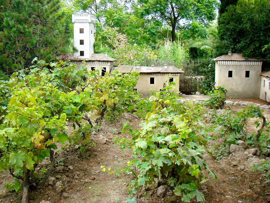 Цветочный парк Феникс, Ницца, Лазурный берег, Франция, Европа