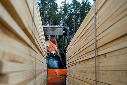 Иностранец вывез из Свердловской области в Узбекистан пиломатериалы на 2 млн рублей