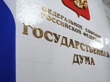 Депутат Хамзаев предложил дать депутатам право носить оружие с учётом провокаций
