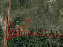 Пропавшего спортсмена из Выксы на вторые сутки нашли с помощью собаки