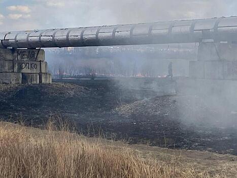 В Чите ликвидировали пожар сухой травы