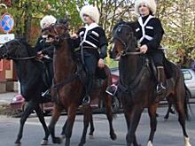 «Превосходный конь Бечкан». Необычная выставка открылась в музее Востока