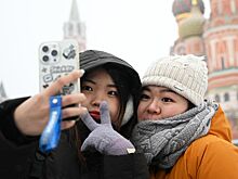 Названы сроки появления электронных виз и карт для иностранцев