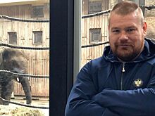 «У Емельяненко печенька отвалится»: Дацик — о бое с Тарасовым