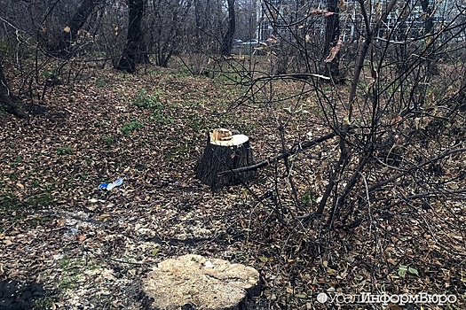 Зеленую Рощу закроют от горожан раньше запланированного