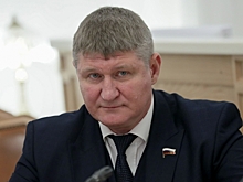 В Госдуме рассказали, какая мобилизация нужна россиянам
