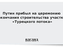 Путин прибыл в Стамбул
