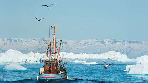 Сокровища подо льдом: какими природными ресурсами богата Гренландия