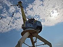 Группа ПСН не будет строить «Западный порт»