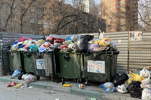 В Новосибирске будут штрафовать за выброс старых раковин