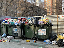 В Новосибирске будут штрафовать за выброс старых раковин